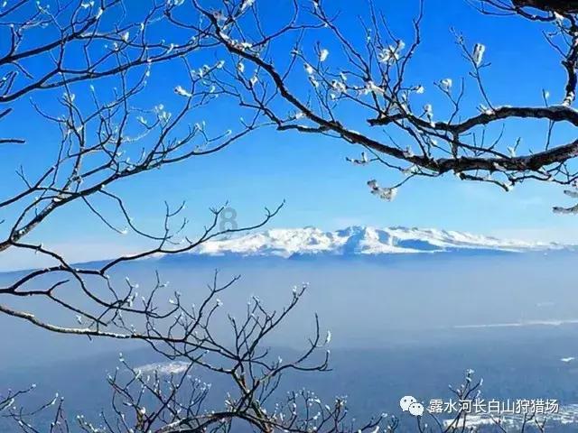 黄河将告别“地上河”？专家：济南泺口段河床降了3米 河滩仍比城区高6米